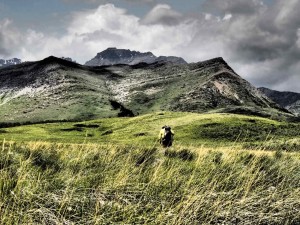 Ed and Mt. Dungarven