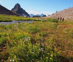 11 - Floral Park Saga Part 2 - Glacier Explorer