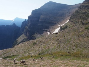 Nyach Lakes 11 - Glacier Explorer