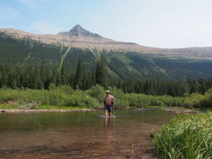 Nyach Lakes 21 - Glacier Explorer