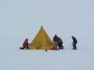 Welcome to Antarctica 17 - Glacier Explorer