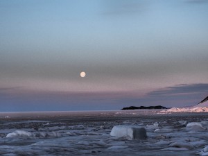 Welcome to Antarctica 33 - Glacier Explorer