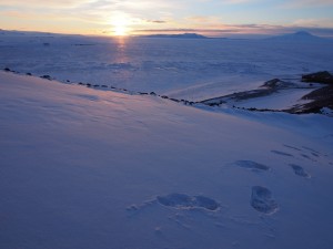 Welcome to Antarctica 34 - Glacier Explorer