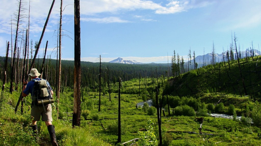 Lilly trail