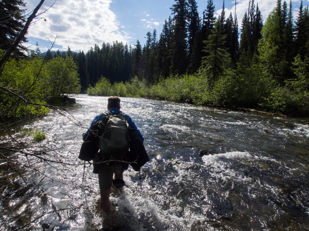 Lillly Creek Crossing