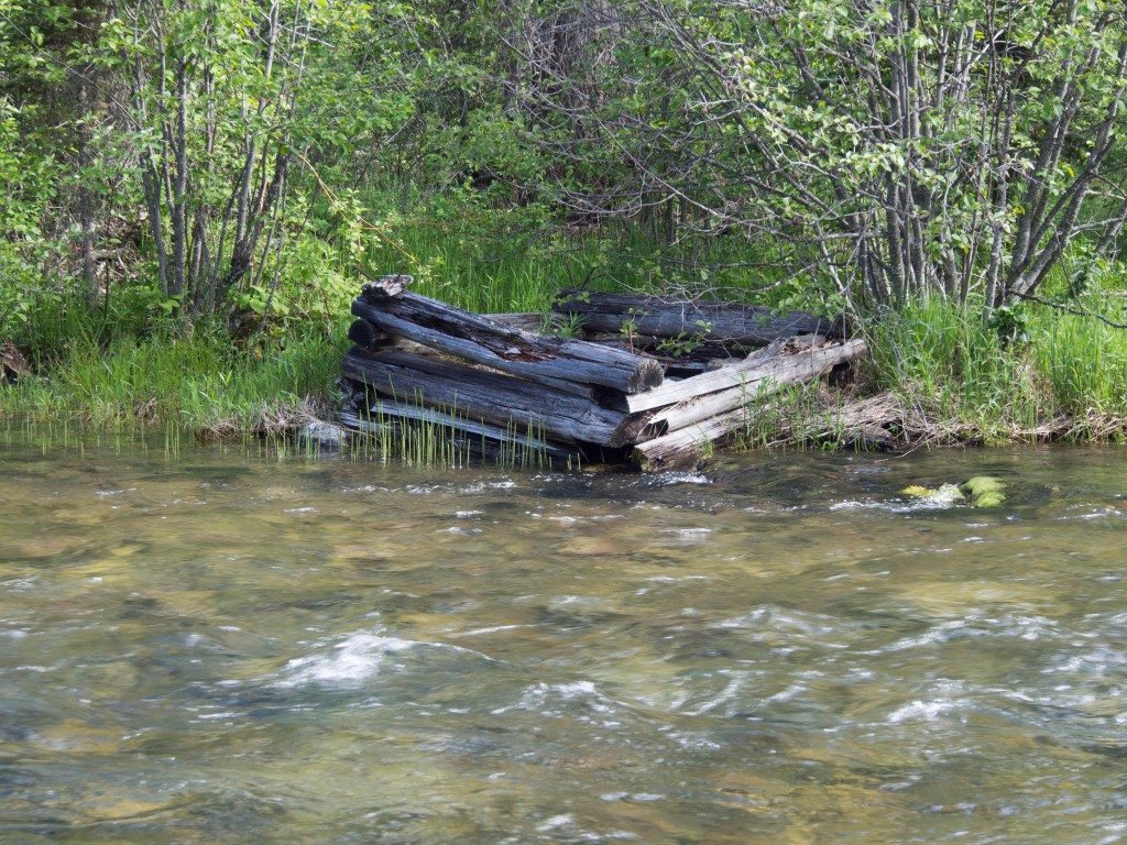 Lilly Bridge